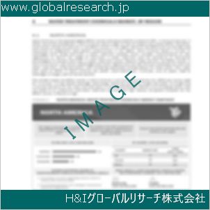 グローバルリサーチ調査資料のイメージ